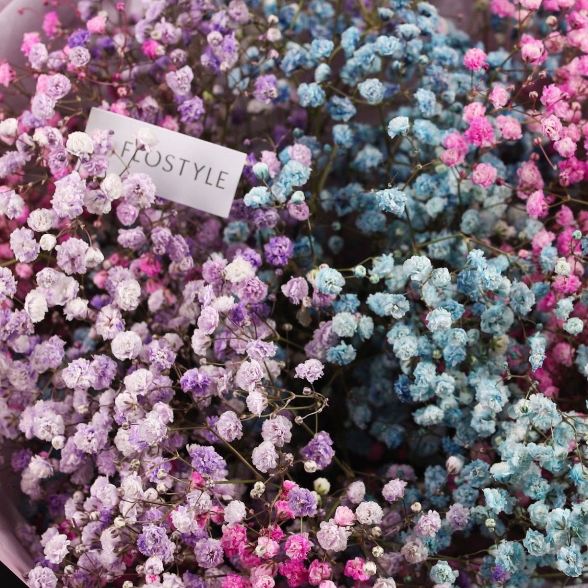 gipsofila raduzhnaya buket 7